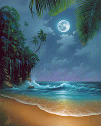 bonne nuit my love